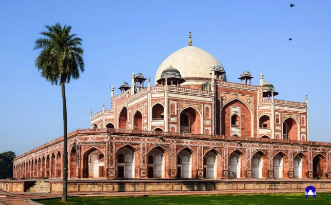 full day delhi sightseeing tour by car