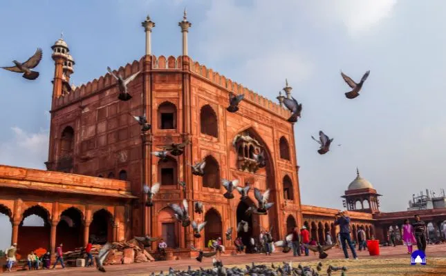 old delhi city tour heritage walk through chandni chowk
